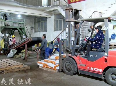 宜施壯 以創(chuàng)新為支點(diǎn)，實(shí)現(xiàn)復(fù)合肥產(chǎn)業(yè)的“撐桿跳”